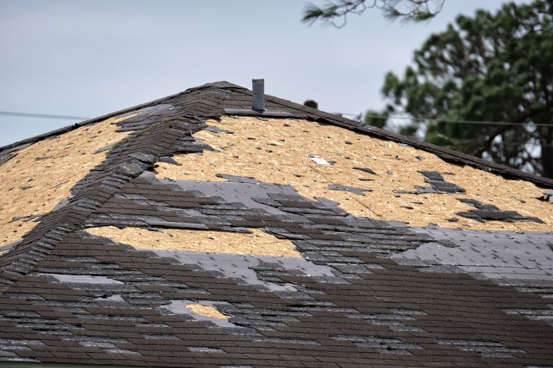 Roof Inspection and Damage Assessment