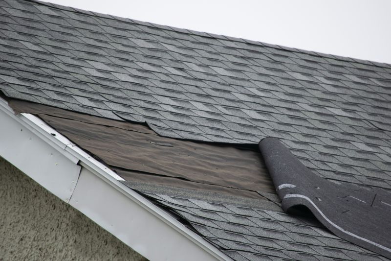 Damaged Asphalt Shingles